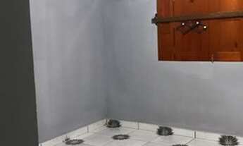 Imagem 4: Casa pra Alugar Casa com 3 dormitórios