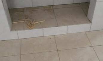 Imagem 4: São Paulo - Casa Padrão - Planalto Paulista