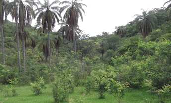 Imagem 6: Lote rural de 36.000m ²,belíssima vista, nascente de água, Serra do Cipo