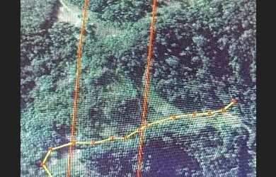 Imagem 4: Chácara, frente para o Rio, e parte alta para fazer uma bela morada