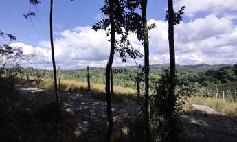 Imagem 7: AMPLO TERRENO NO 15 DA GRACIEMA EM BENTO GONÇALVES
