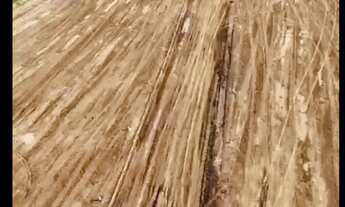 Imagem 2: Terreno à Venda Localização Privilegiada!