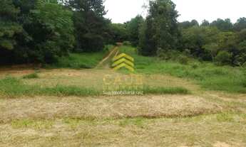 Imagem: Imóvel para venda com 530 metros quadrados