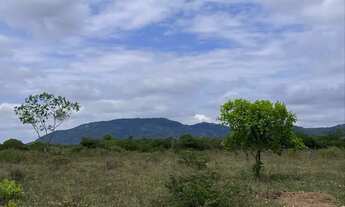 Imagem: Vendo terrenos em São José, Feira de Santana