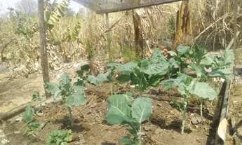 Imagem 5: Sitio 5.000m² perto da Serra do cipó!Para você que buscar descanso e lazer,Jaboticatubas