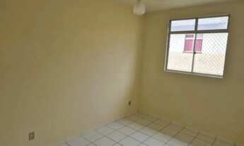 Imagem 5: Apartamento com 2 quartos para alugar por R$ 700.00 à venda por R$ 150000.00, 43.00 m2 - N