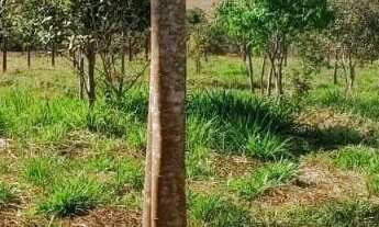 Imagem 7: Terreno à venda, 1542 m² Loteamento Talismã Condomínio de Sítios