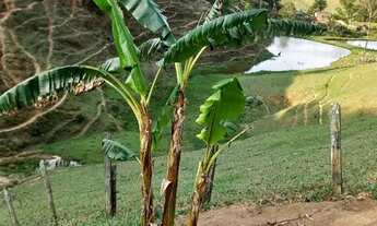 Imagem 3: Sítio em Mogi das Cruzes com Rio em área de 3.500m²