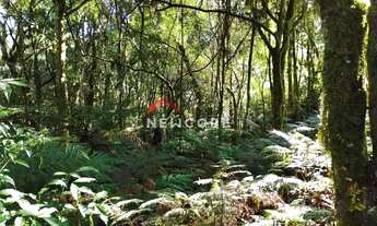 Imagem 3: Lote em Rua São Gotardo - São Bernardo - São Francisco de Paula/RS