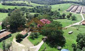 Imagem: Sítio com galpões de granja, 85 mil aves