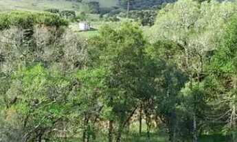 Imagem 7: Sítio em Rua Estrada Velha - Salto Eletra - São Francisco de Paula/RS