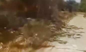 Imagem 5: Terra documentada