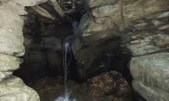 Imagem: Terreno de 7 hectares, com nascente e córrego