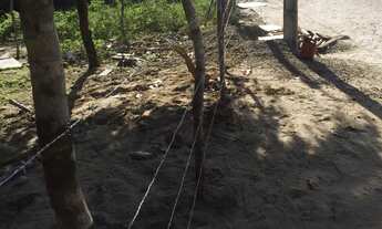 Imagem 2: Terreno beira-mar no centro de São Miguel do Gostoso (Único