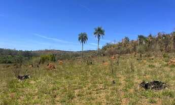 Imagem 4: Solo firme e pronto para receber obra