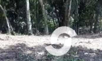 Imagem 4: Terreno à venda, 389 m² por R$ 220.000,00 - Várzea das Moças - Niterói/RJ