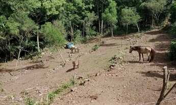 Imagem 4: Barbada vendo Chácara com venda por R$250.000
