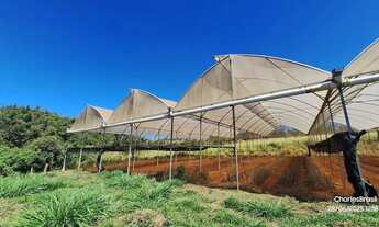 Imagem: Área Rural em Alexânia com 3,75 Alqueires