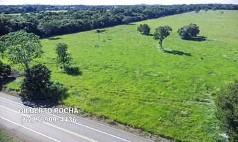 Imagem 2: Otima area comercial na beira do asfalto em Mozarlândia - GO