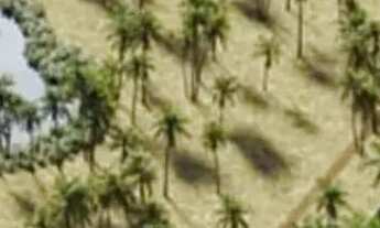 Imagem: OPORTUNIDADE REPASSE - Malibu Beach c/ 257m²