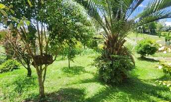 Imagem 12: Chácara Apanhador Caxias do Sul