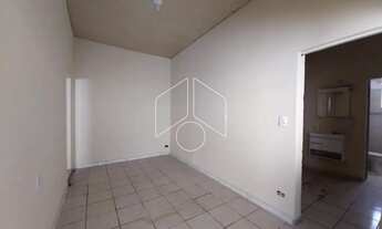 Imagem 4: Comercial GalpãoBarracão em Marília