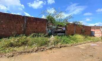 Imagem 7: LOTE À VENDA ILHA DA CROA