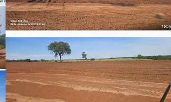 Imagem: Fazenda de cana