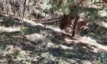 Imagem 4: Lote de Terreno em Associação Consolidada na Região do Imbiri - Campos do Jordão/SP