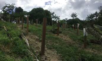 Imagem 7: Vendo Sitio na AM 010 km100