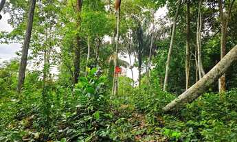 Imagem 3: Lote no Recanto do Tarumá 800m² no Tarumã Açu com Acesso ao Rio