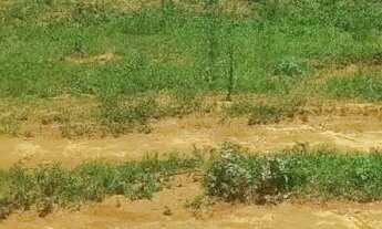 Imagem: Lote em condomínio na 26 de setembro