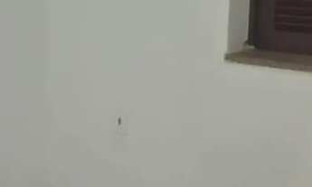 Imagem 6: Aluga se casa de 02 quartos em São Cristovão