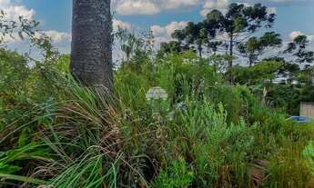 Imagem 7: Vendas Terreno Colombo PR