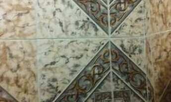 Imagem 7: Alugo Casa 1 andar