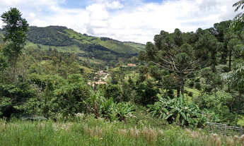 Imagem 2: Sítio com 3.000 m2 em Delfim Moreira, MG