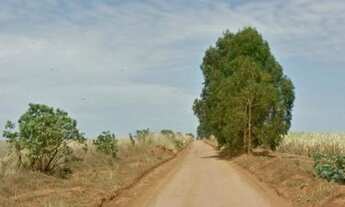 Imagem 4: Área Rural para Venda em Setor Central Ipameri-GO - 1951