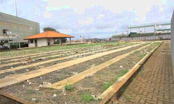 Imagem 4: Galpão - Techno Park - Campinas