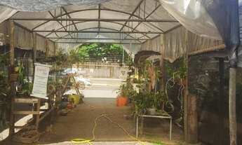 Imagem 2: Orquidário ecomerce empresa em funcionamento