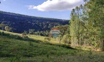 Imagem 4: Fazenda com 4 dormitórios à venda, 10340000 m² por R$ 10.000.000,00 - Serra do Cipó - Sant