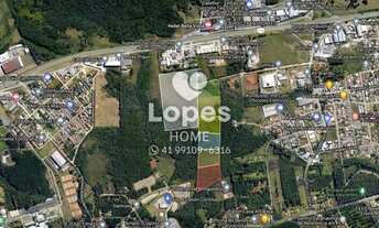 Imagem 2: Terreno a venda em Colombo, 20.000 m²