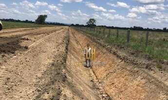Imagem 2: Fazenda á venda, 3.000 hectares por R$ - Zona Rural - Porto Alegre do Norte/MT
