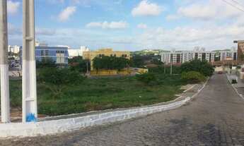 Imagem 6: Terreno a venda em Candelária