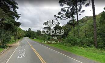 Imagem 6: Área de terra a venda em Campo Largo, 6 alqueires ou 145.200 m² - Comercial ou residencial