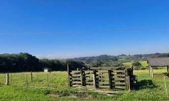 Imagem 13: Sítio 3 hectares em Viamão, 500 metros RS040, para investidor!