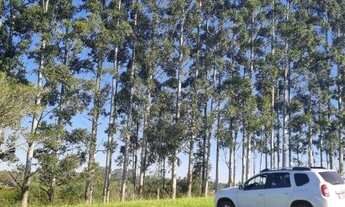 Imagem 12: Sítio 3 hectares em Viamão, 500 metros RS040, para investidor!