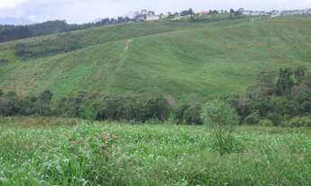 Imagem 3: FAZENDA com 1 dormitório à venda com 761574m² por R$ 10.000.000,00 no bairro Centro - BOCA