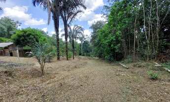 Imagem 2: Sitio, com corredeira, pousada, na BR 174, à 1 km de Presidente Figueiredo-Am