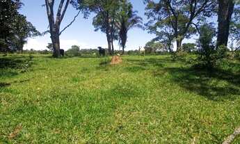 Imagem 6: Fazenda para venda com 25,5 alqueires Corumbá de Goiás- Go
