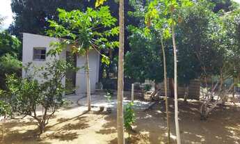 Imagem 7: Casa para venda com 720 metros quadrados com 2 quartos